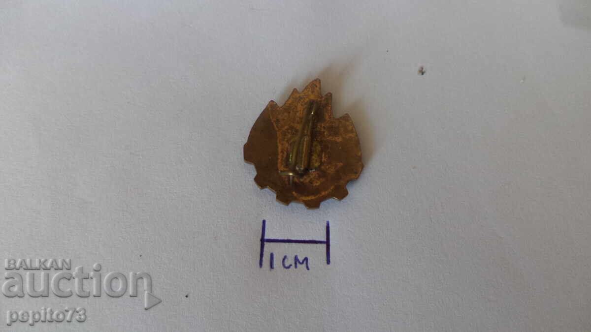 Σήμα Ρουμανίας, πρωτοποριακή οργάνωση 1950 - 5