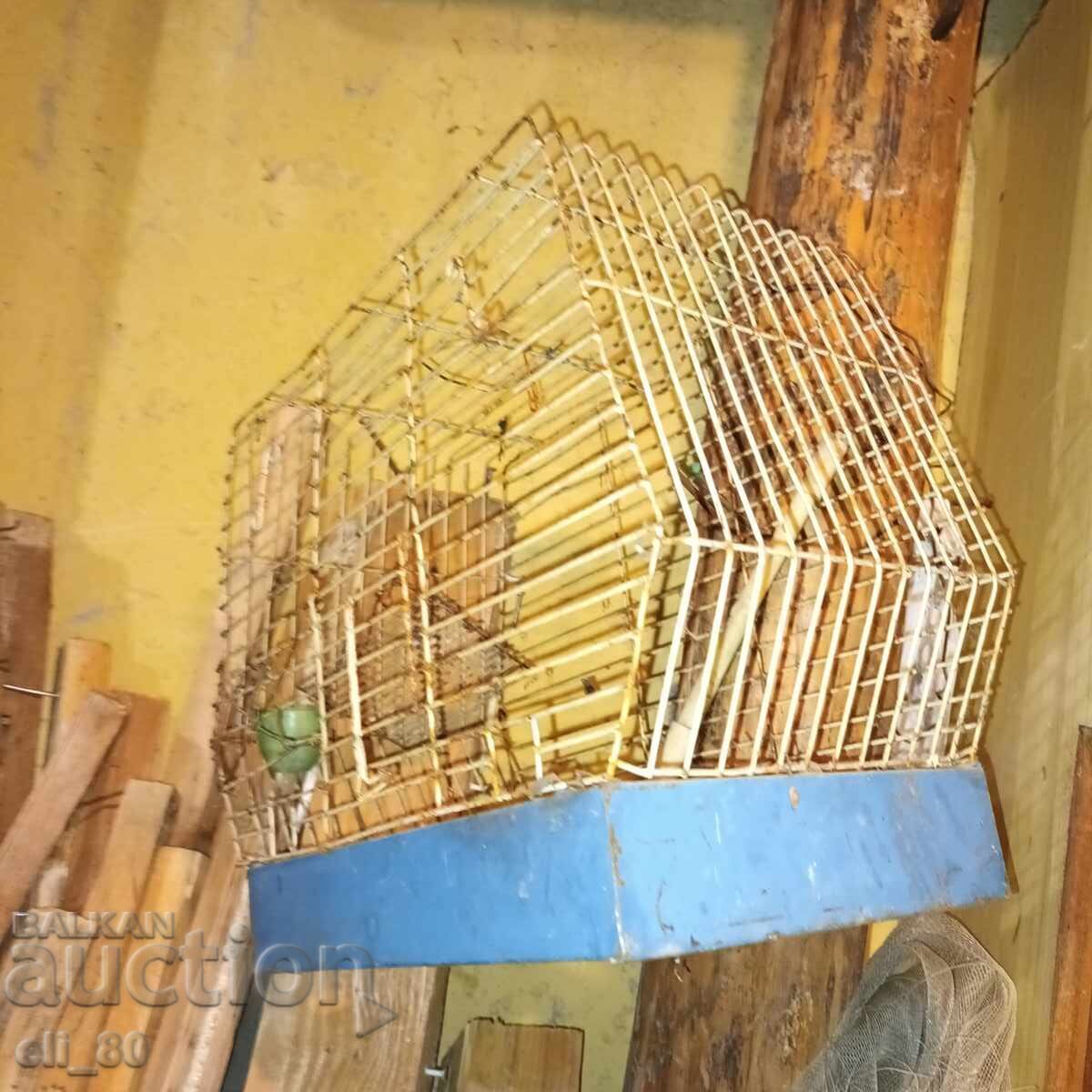 Delivery of Bird cage