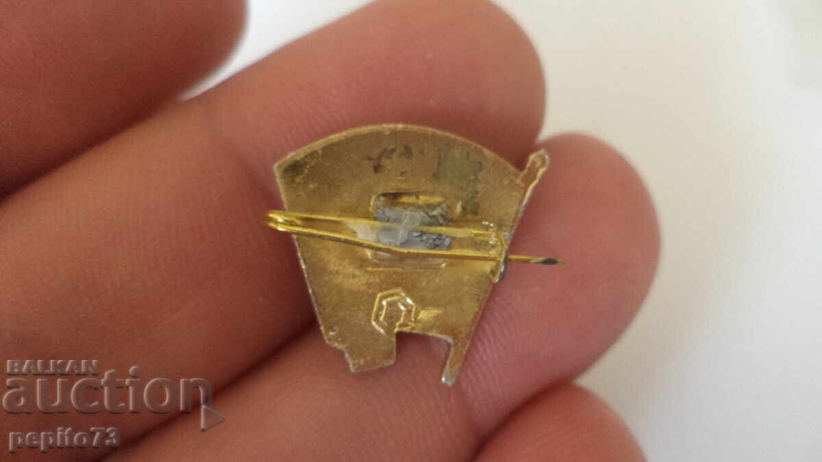 Delivery of USSR Badge, Lenin, VLKSM