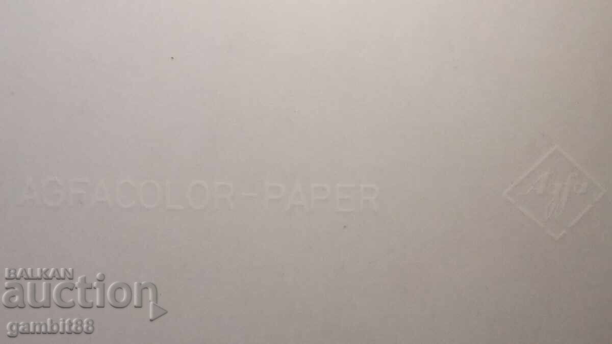 Large original autographs of The Beatles - Paul, George and Ringo Starr - 12