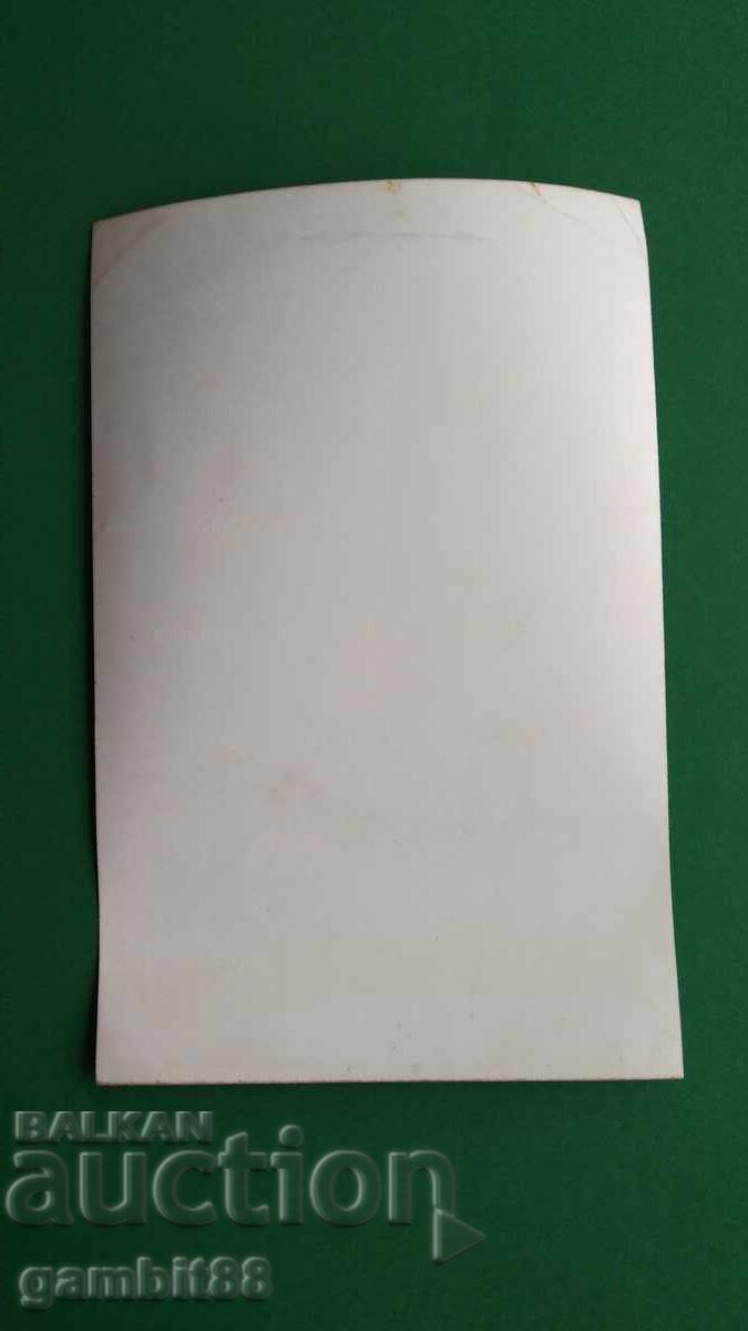 Large original autographs of The Beatles - Paul, George and Ringo Starr - 6