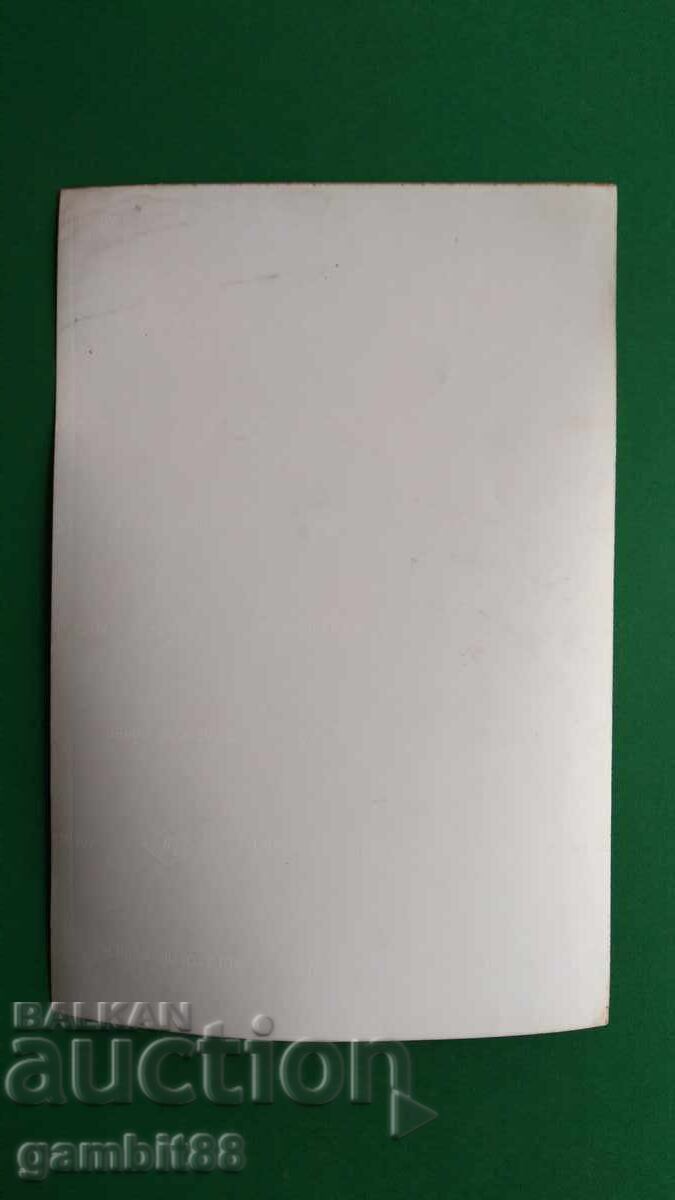 Large original autographs of The Beatles - Paul, George and Ringo Starr - 8