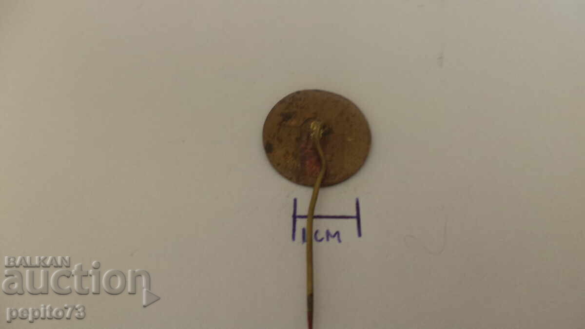 Licitație Insigna castel Licitație Insigna castel