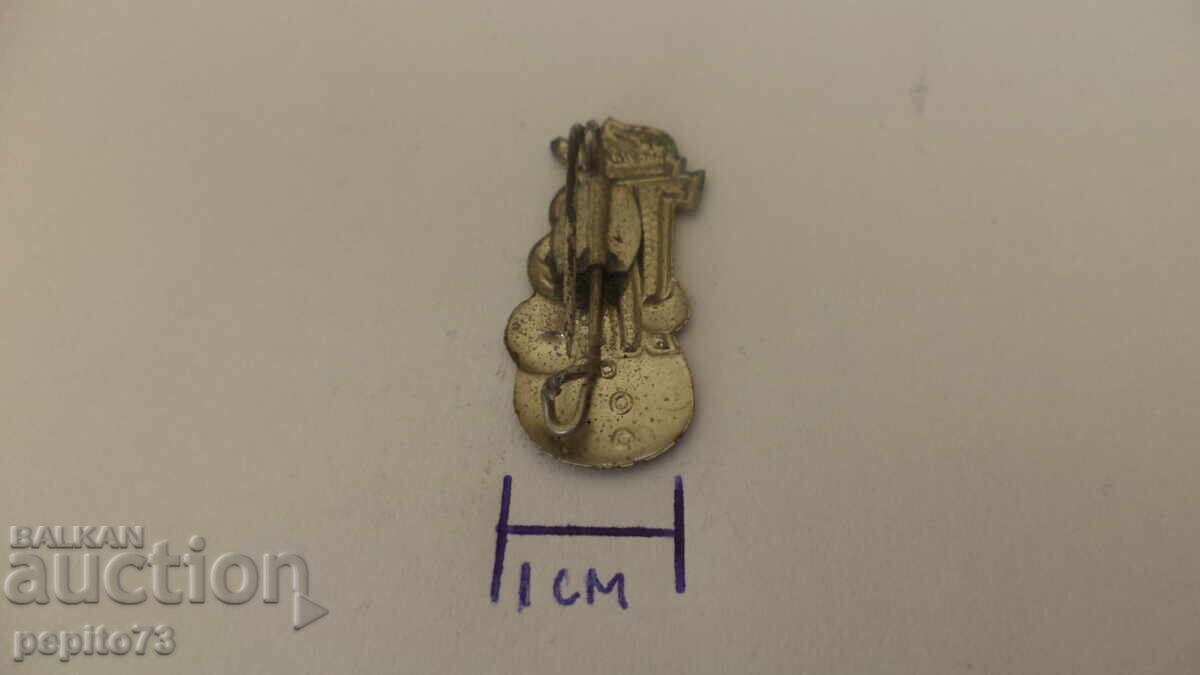 Προσκοπικό σήμα, Γερμανία - 5