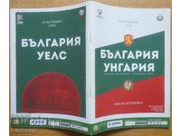 Program de fotbal Bulgaria-Ungaria/Țara Galilor, 2020