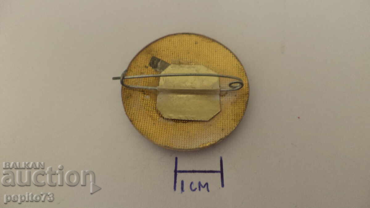 Delivery of Badge Sweden, nurse, orderly