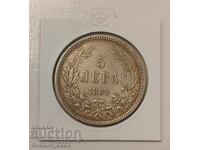 5 BGN 1884