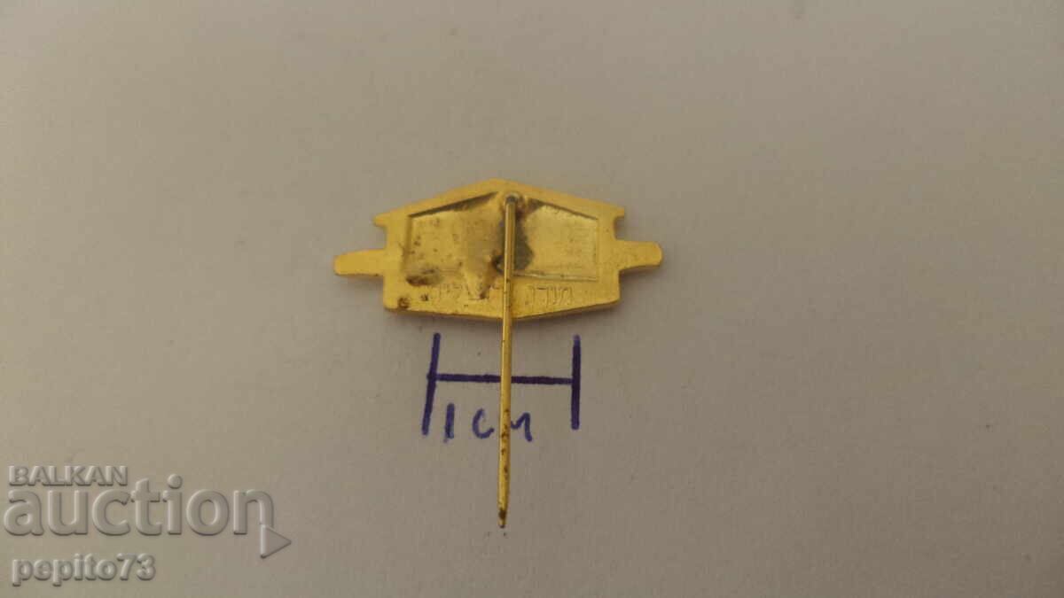 Livrarea Insigna Israel, Parlamentul Knesset