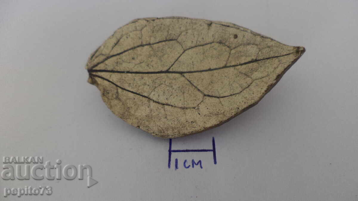 значка листо ,Полша с цена € 1.00 | 1.96 лв.