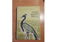 Petar Slavinski THE BIRDS COME TO US 1961