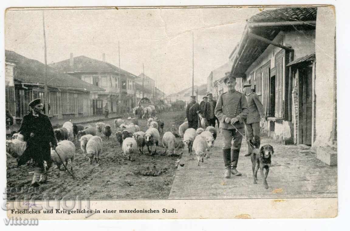 Μακεδονία ΠΣΒ