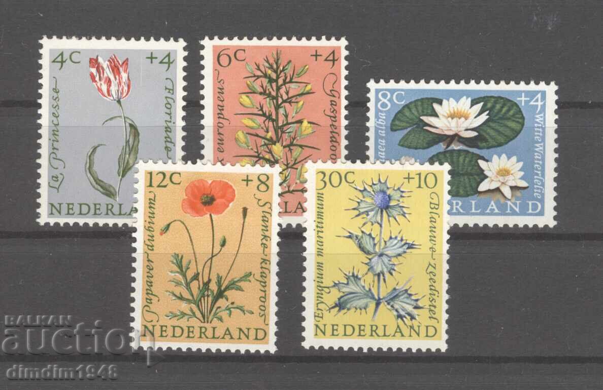 Ολλανδία 1960 - Φλόρα, πλήρης σειρά, καθαρή