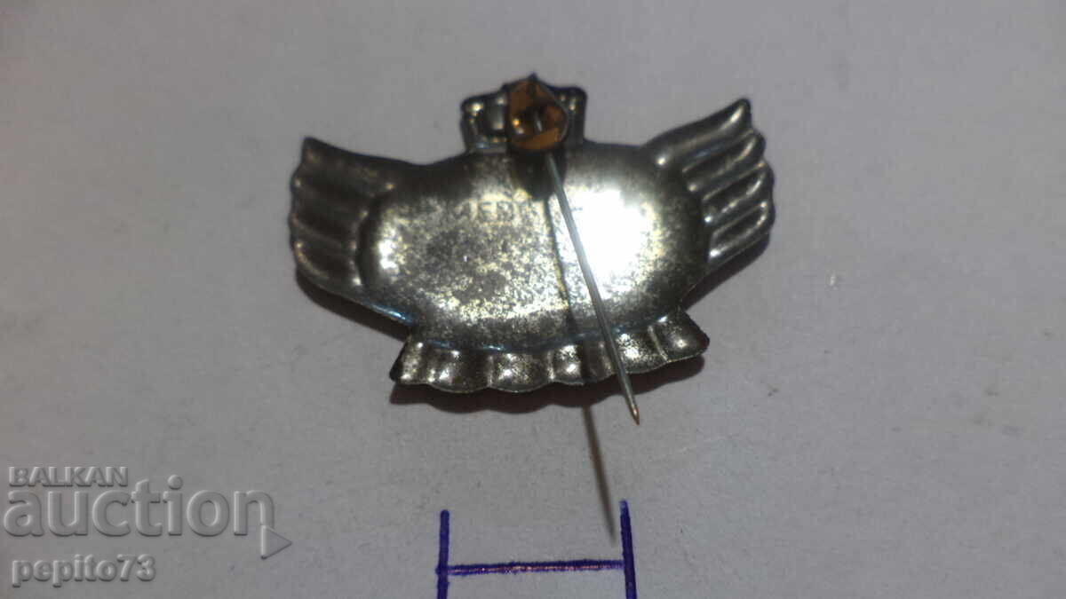 значка рекламна Mercuri motor, - 6