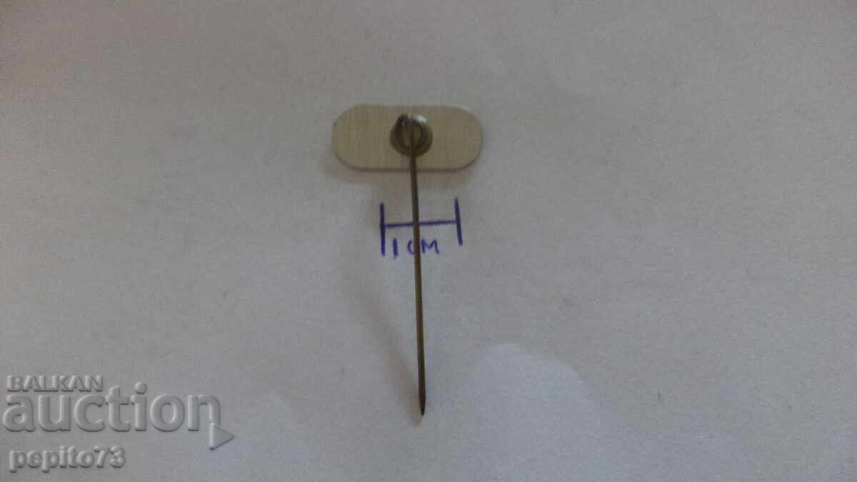 Livrarea Insigna de reclamă, Vară, companie de radio și televiziune