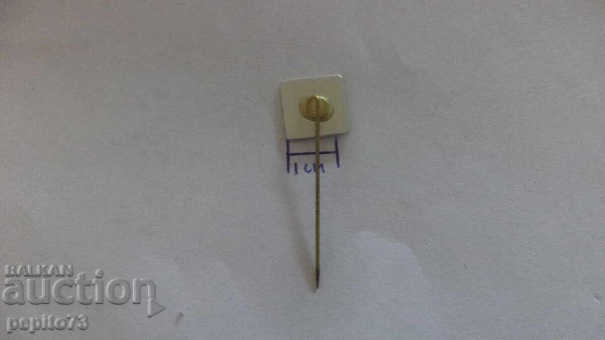 Доставка на значка ,рекламна,SPAR, марка на верига супермаркети