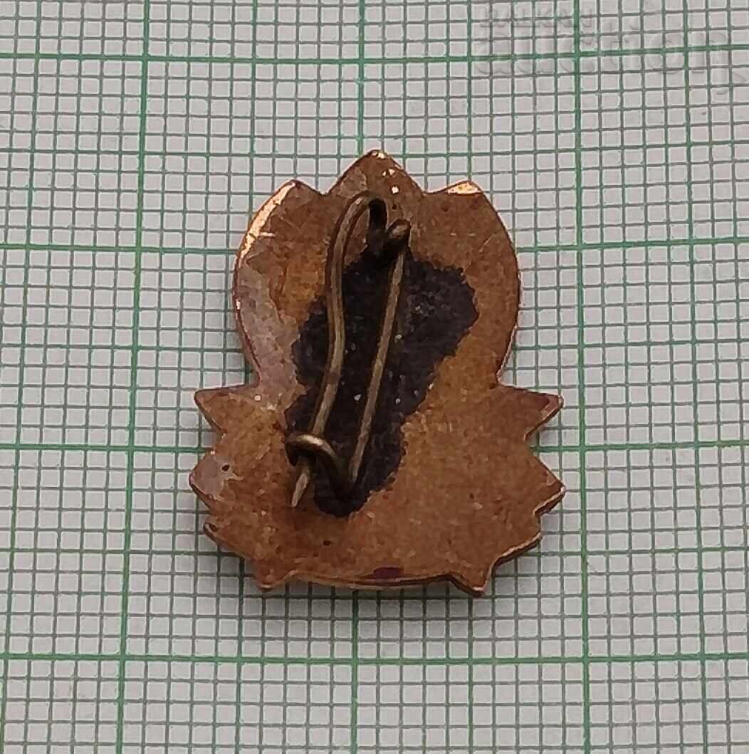 PIONIERI LOGO R.P. BULGARIA INSIGNĂ EMAIL cu preț € 2.00 | 3.91 BGN