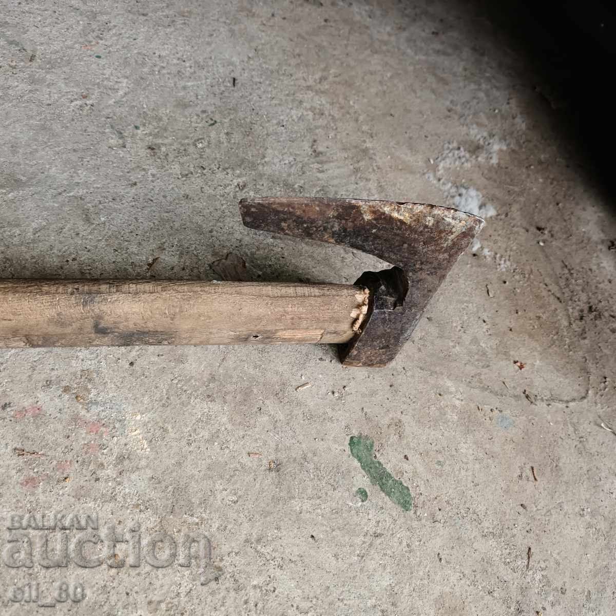 Toporișcă mică curbată - 5