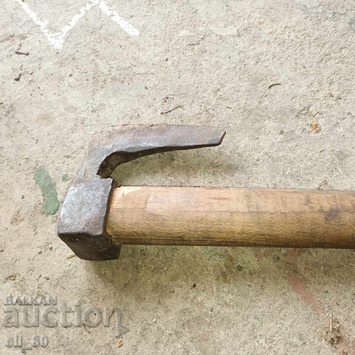 Toporișcă mică curbată - 6