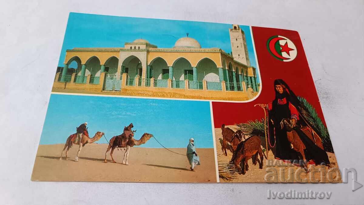 Cartolină poștală Cid el Qued La Mosquee