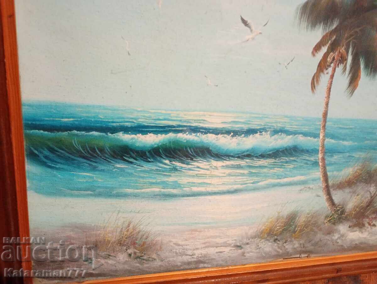 Θαλασσογραφία! - 5 Θαλασσογραφία! - 5