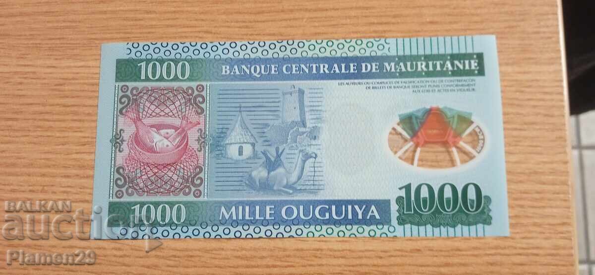 Vând 1000 ugiya Mauritania