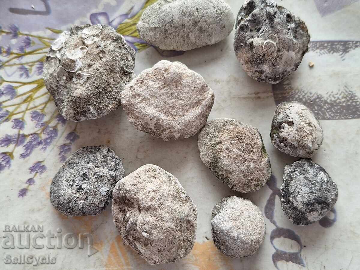 ✅ΑΠΟΛΙΘΩΜΑΤΑ ΜΥΔΙΩΝ - ΠΡΟΒΑΔΙΑ❗ με τιμή € 2.00 | 3.91 BGN ✅ΑΠΟΛΙΘΩΜΑΤΑ ΜΥΔΙΩΝ - ΠΡΟΒΑΔΙΑ❗ με τιμή € 2.00 | 3.91 BGN