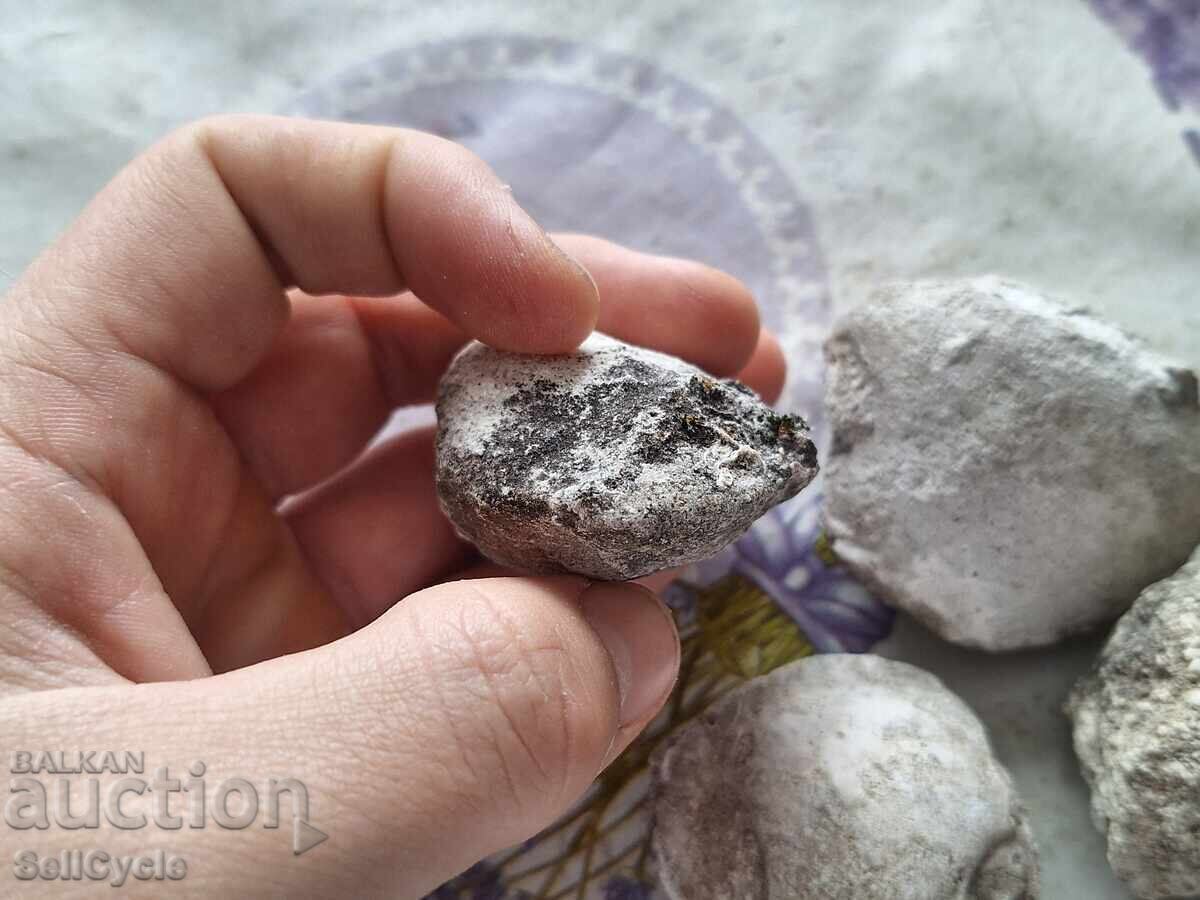 ✅ΑΠΟΛΙΘΩΜΑΤΑ ΜΥΔΙΩΝ - ΠΡΟΒΑΔΙΑ❗ με τιμή € 3.00 | 5.87 BGN