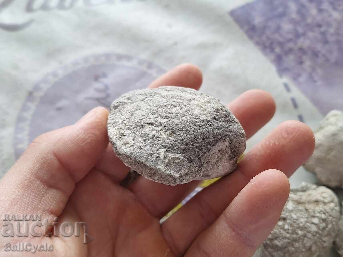 Δημοπρασία ✅ΑΠΟΛΙΘΩΜΑΤΑ ΜΥΔΙΩΝ - ΠΡΟΒΑΔΙΑ❗