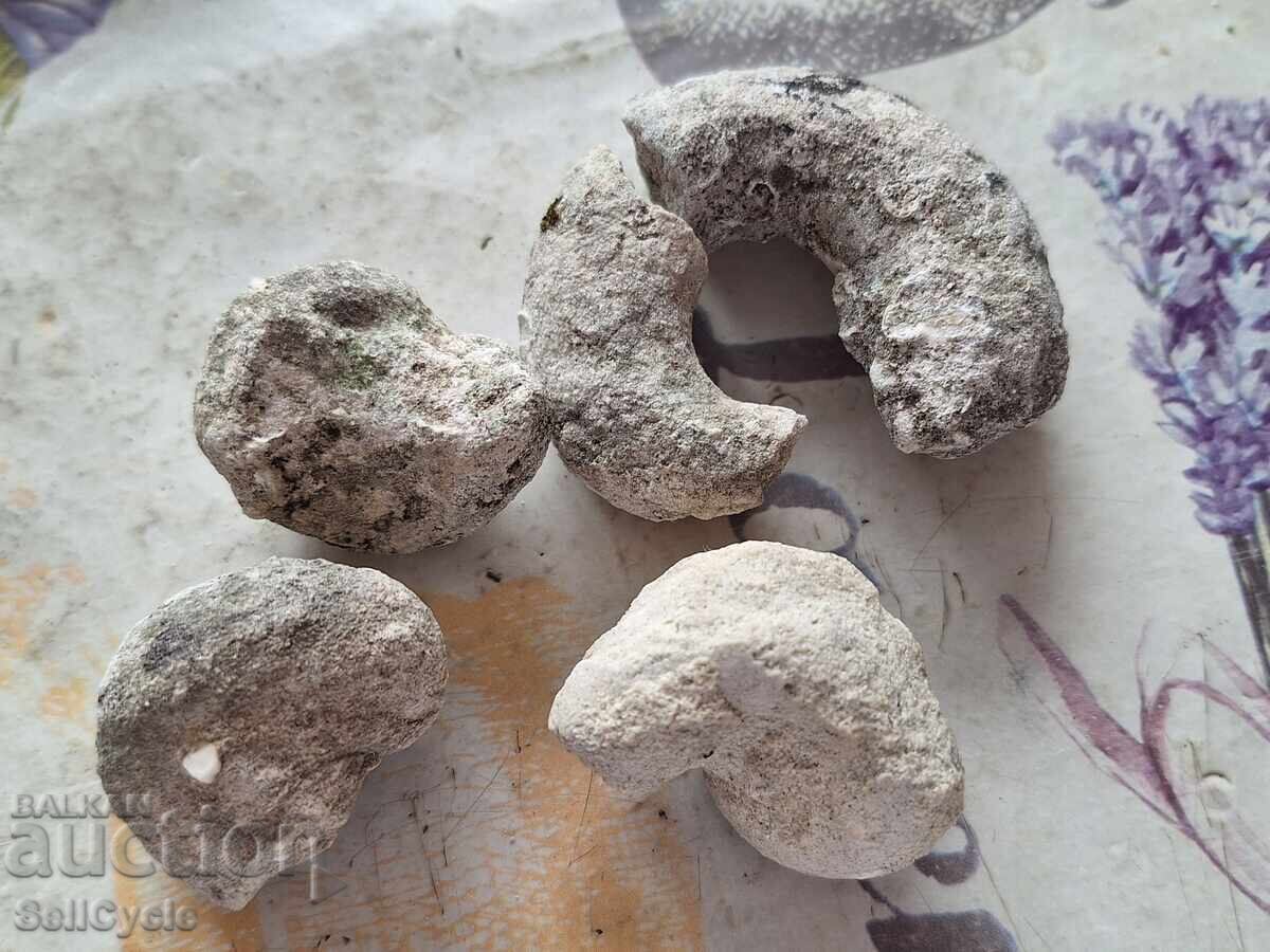 ✅ΦΩΣΙΛΙΑ - ΣΑΛΙΓΚΑΡΙΑ - ΠΡΟΒΑΔΙΑ❗ με τιμή € 2.00 | 3.91 BGN