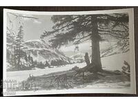 5500 Βουλγαρία κοντή Ρίλα κορυφή Μάντσου 50-τα έτη