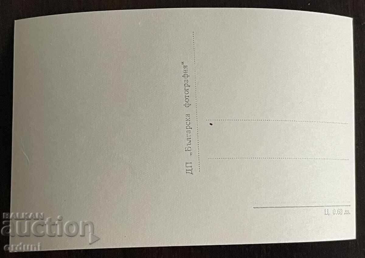 5502 Βουλγαρία Κράτκα Ρίλα κορυφή Πογκλέντετς Ιόζολα 50-τα γ με τιμή € 5.00 | 9.78 BGN