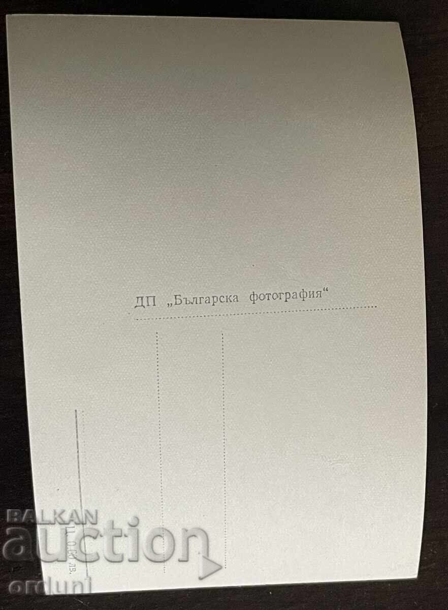 5505 Βουλγαρία κοντή Ρίλα κορυφή Αλέκο 50-τα έτη με τιμή € 5.00 | 9.78 BGN 5505 Βουλγαρία κοντή Ρίλα κορυφή Αλέκο 50-τα έτη με τιμή € 5.00 | 9.78 BGN