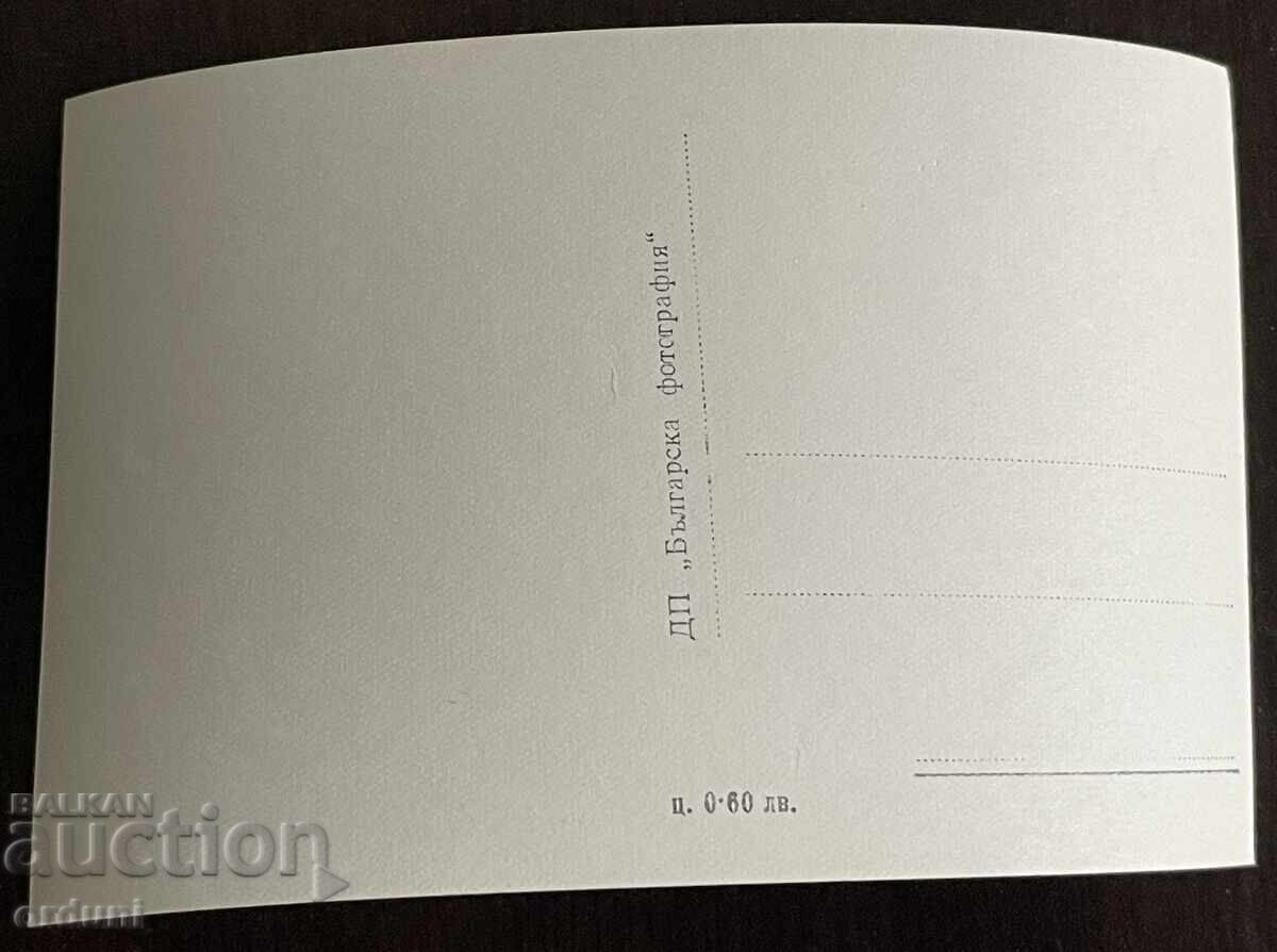 Licitație 5506 Bulgaria scurtă Rila vârf Pogledets Iozola 50-te g
