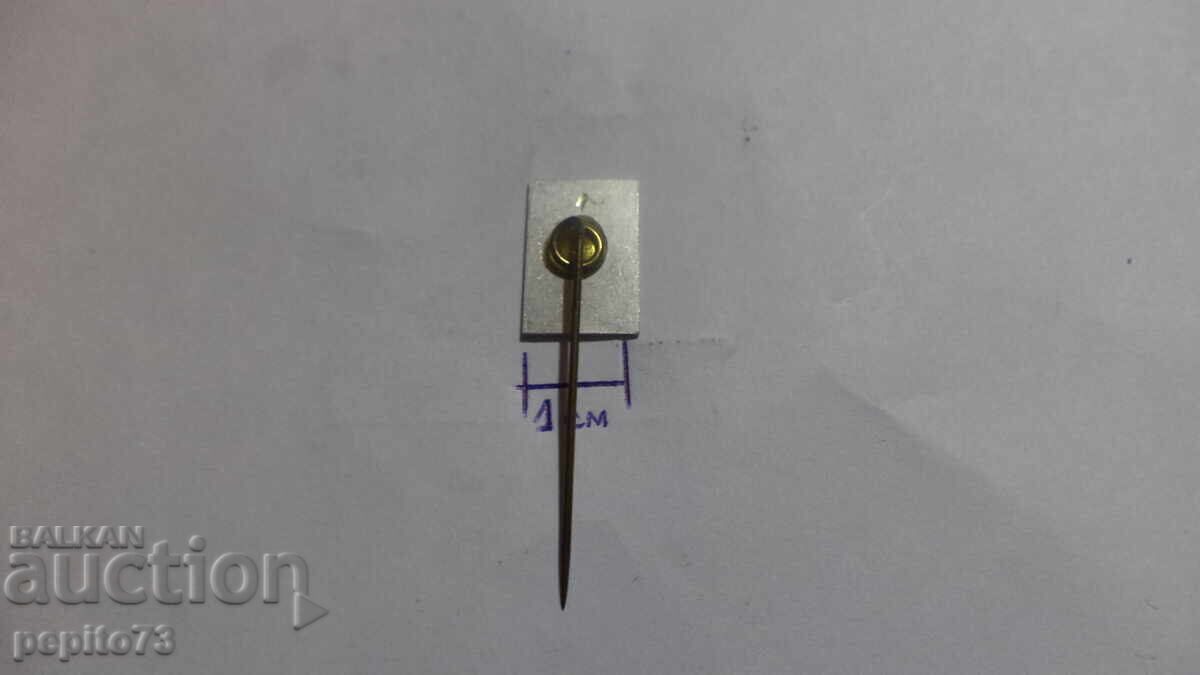 Livrarea Ecuson publicitar Victrix, marcă puding Livrarea Ecuson publicitar Victrix, marcă puding