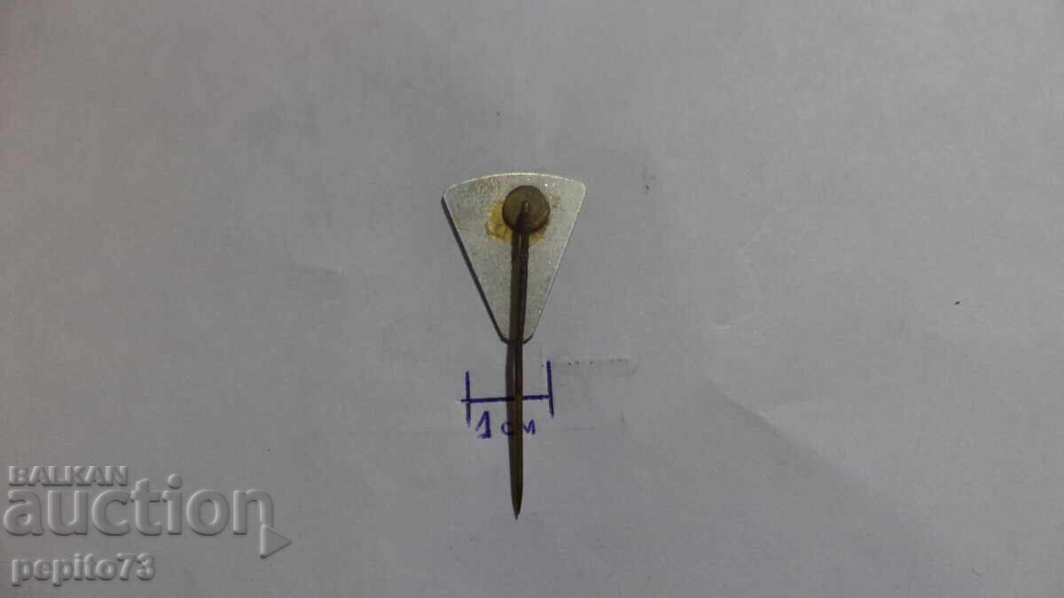 Znachka reklamna ,TURKSTRA,marka sukhari - 5 Znachka reklamna ,TURKSTRA,marka sukhari - 5