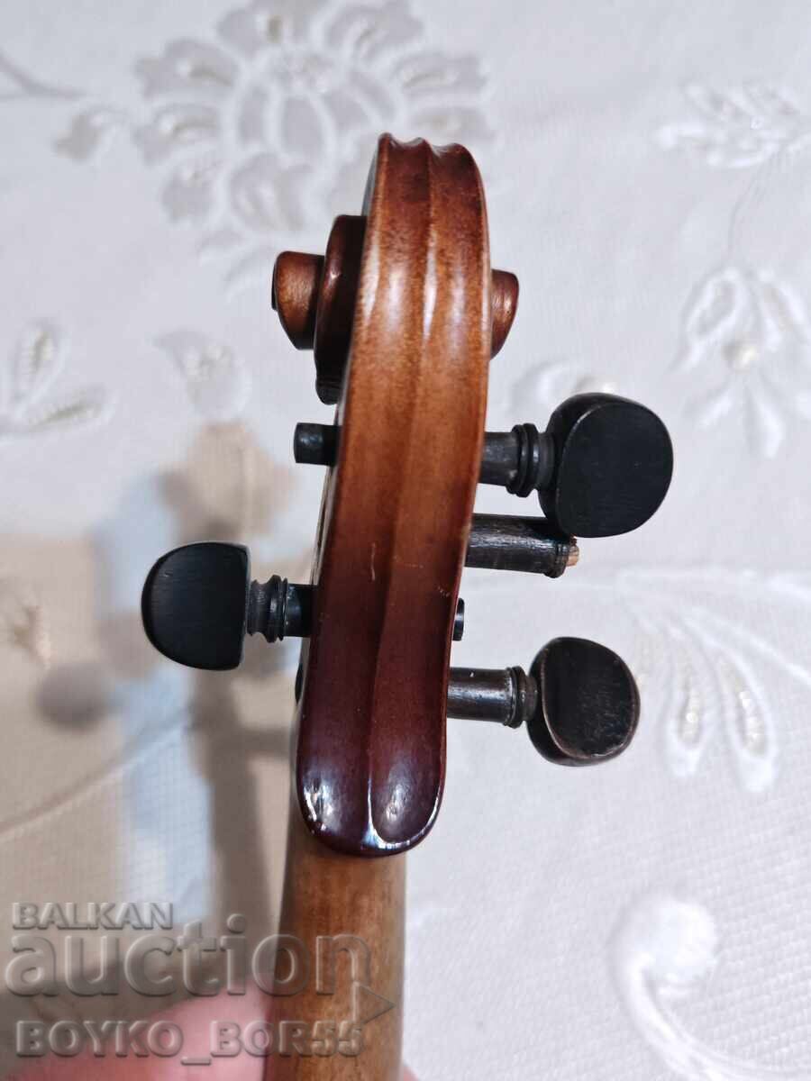 Delivery of Antique Stradivarius Violin 1730