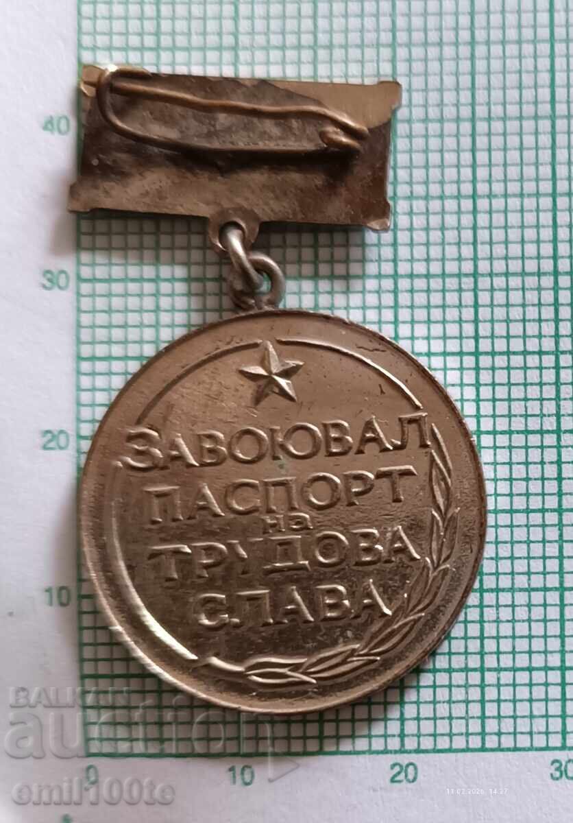 Insigna - A cucerit pașaportul gloriei muncii 1944 1964 - 7