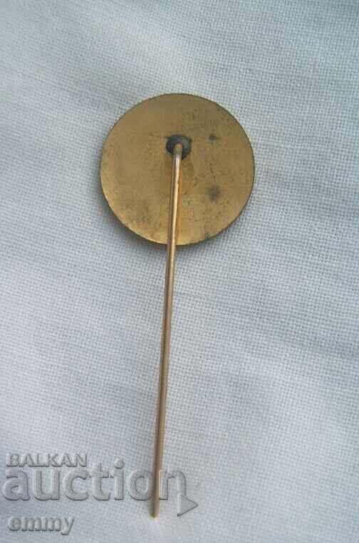 Аукцион Значка Дания - Датски съюз по хокей на лед