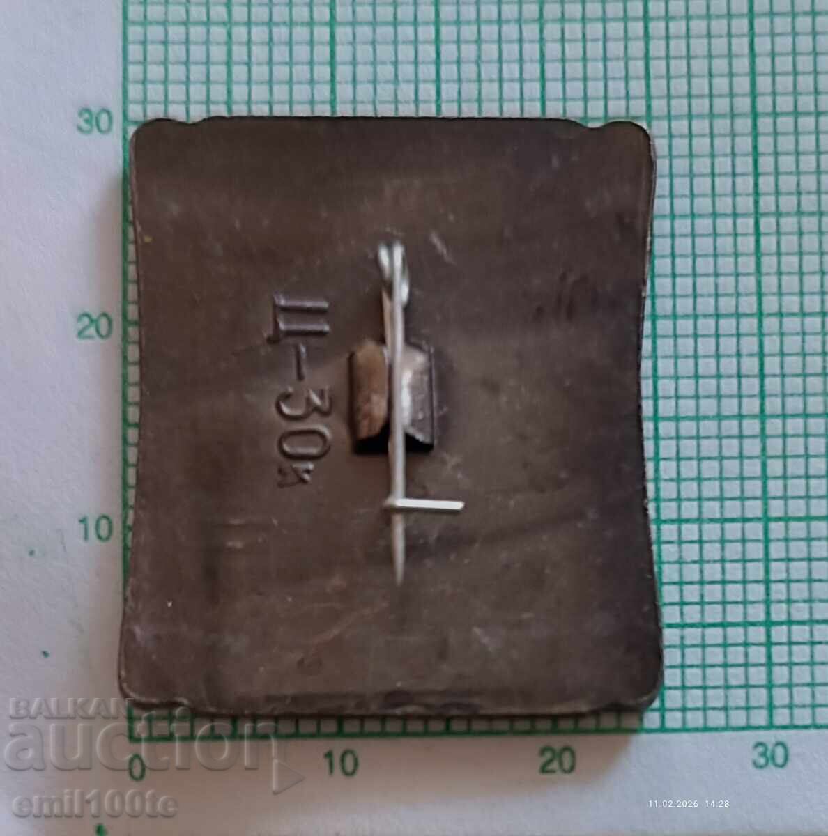 Livrarea Insigna - Turnul de televiziune Ostankino Moscova