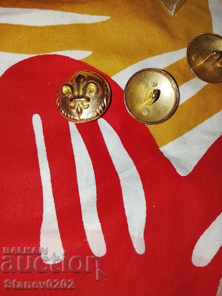 Livrarea Insigne masonice ale templierilor