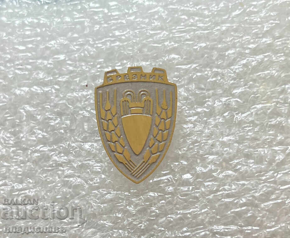 Breznik City Coat of Arms Badge