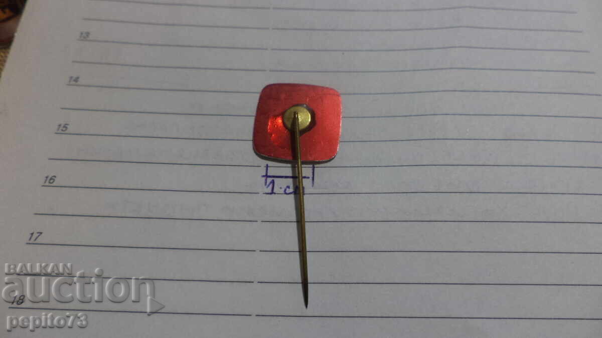 Livrarea Insigna publicitară, RDS, băutură răcoritoare