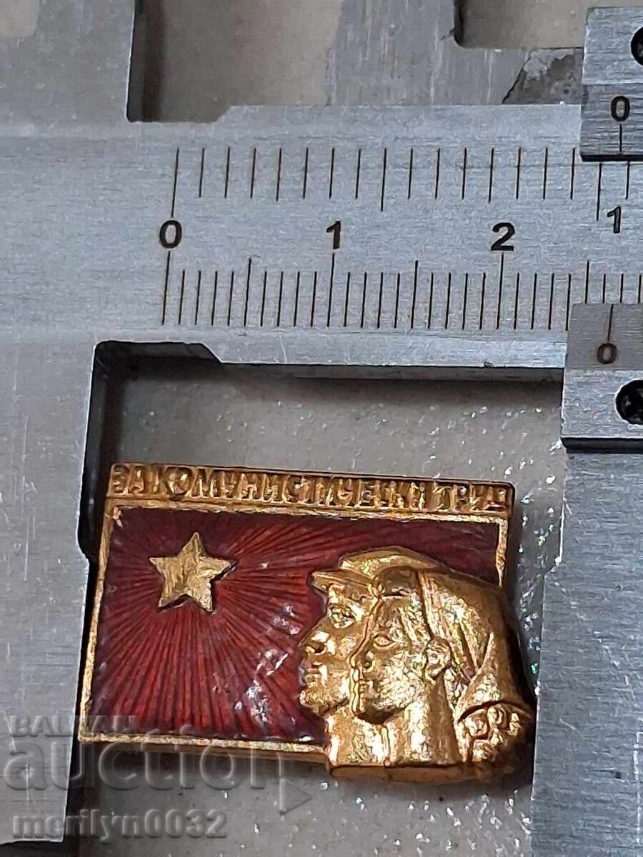 Licitație Semn de piept Pentru Muncă Socialistă medalie insignă Licitație Semn de piept Pentru Muncă Socialistă medalie insignă