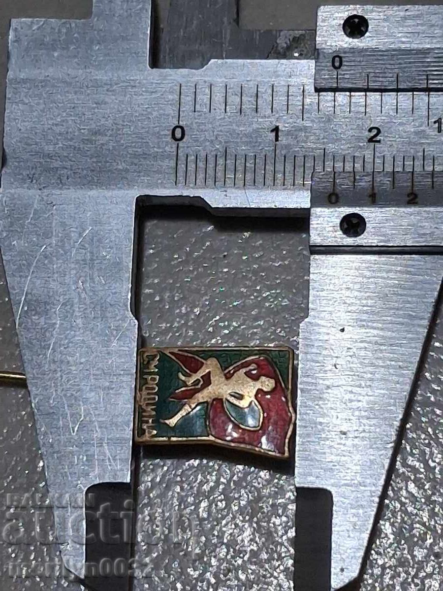 Insigna piept Sport Maraton Patria pentru pionieri medalie ecuson - 5