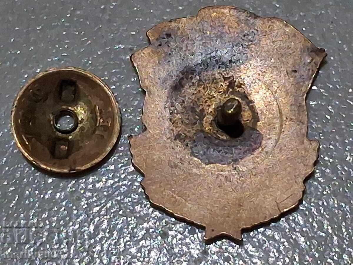 Insigna Dimitrovgrad 1951, semn cu email, medalie, cutie - 5