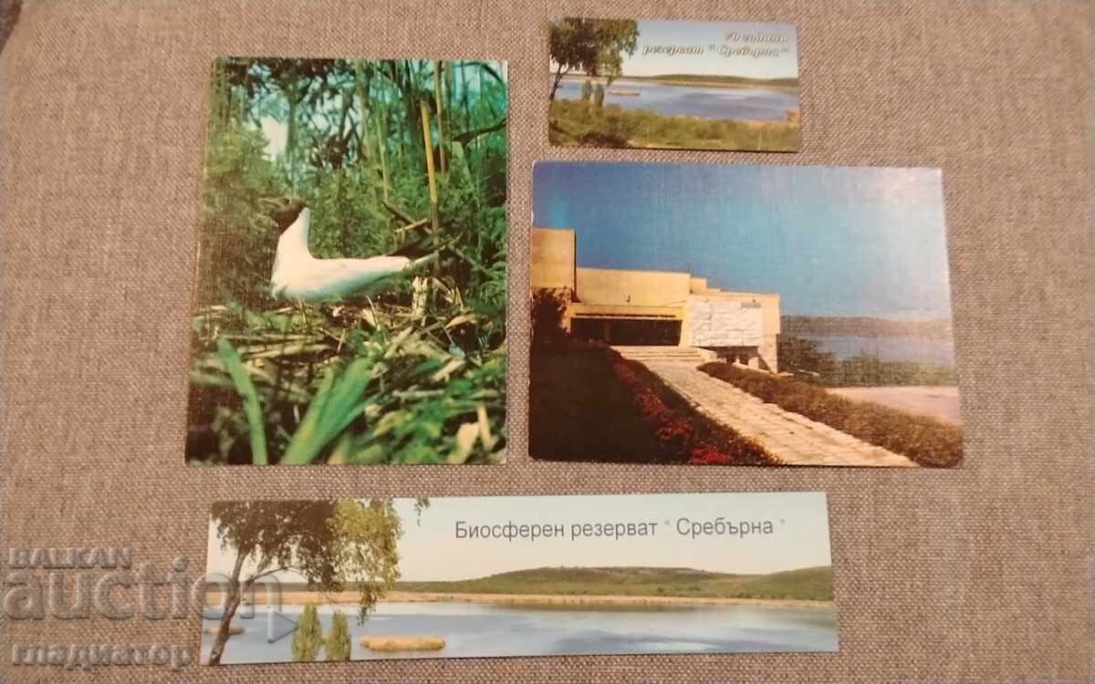 Δημοπρασία Knigorazdelitel Βιόσφαιρα Εφεδρεία Σρεμπάρνα Οικολογία