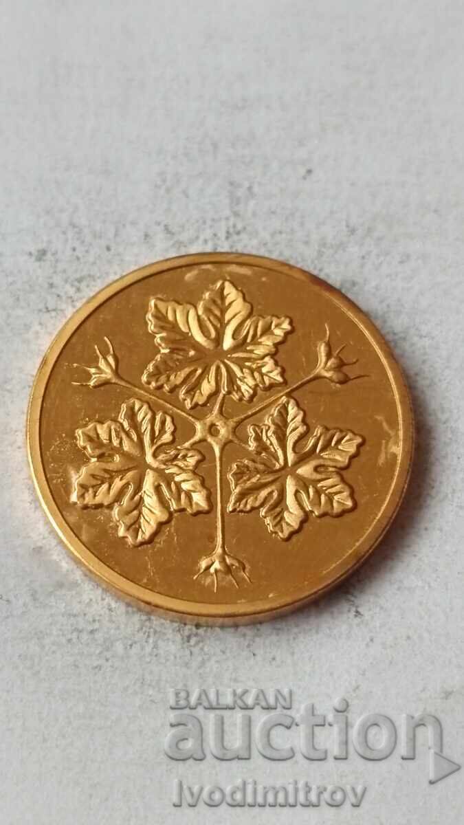 Позлатено късметче Весела Коледа Честита Нова Година Листа с цена € 3.26 | 6.38 лв. Позлатено късметче Весела Коледа Честита Нова Година Листа с цена € 3.26 | 6.38 лв.