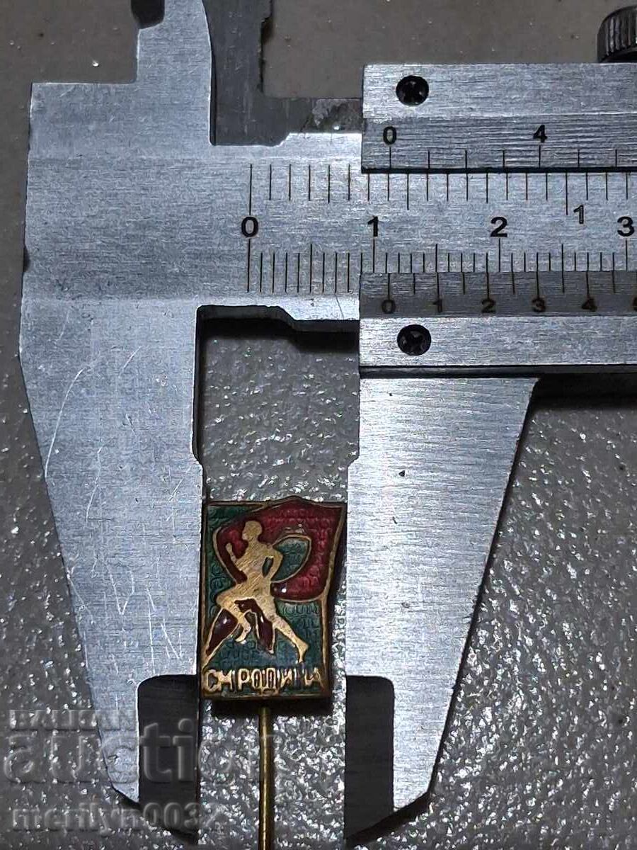 Livrarea Insigna piept Sport Maraton Patria pentru pionieri medalie ecuson