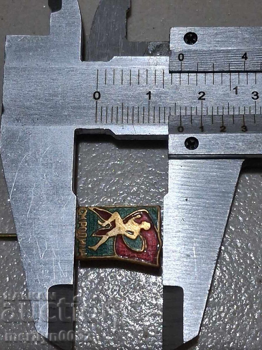 Insigna piept Sport Maraton Patria pentru pionieri medalie ecuson - 5