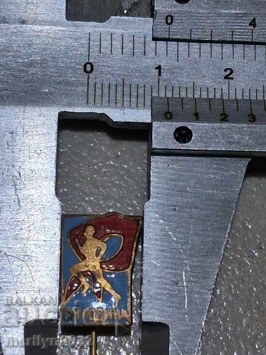 Licitație Insigna piept Sport Maraton Patria pentru pionieri medalie ecuson Licitație Insigna piept Sport Maraton Patria pentru pionieri medalie ecuson